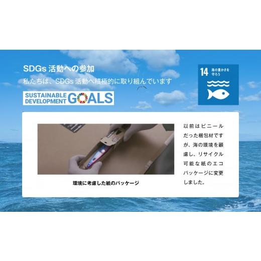 ふるさと納税 フィッシング ルアー・フライ 青森県 六ヶ所村 SR（Swim Rider／スイムライダー）　300g　NAKUIGLOW／ナクイグロー SR（Swim Rider／スイムライ… |  | 06