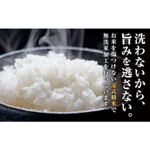 ふるさと納税 無洗米 熊本県 御船町 無洗米 訳あり 家庭用 熊本ふるさと 無洗 米 20kg 無洗米 米 コメ 熊本県産 洗わず コロナ おうちご飯 お米 おこめ 送料無…_4