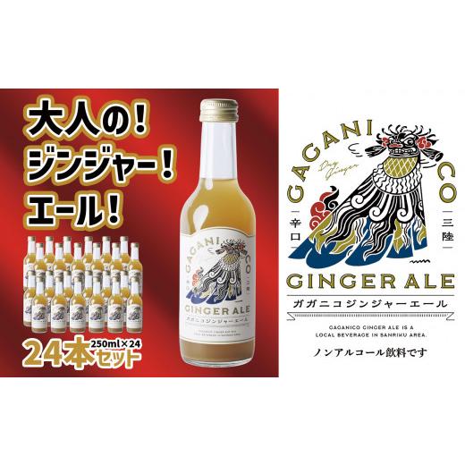 ふるさと納税 炭酸飲料 岩手県 陸前高田市  炭酸飲料 ガガニコ ジンジャーエール 24本セット ( 250ml × 24本 ) 飲み物 ノンアルコール 北限のゆず しょうが …_1