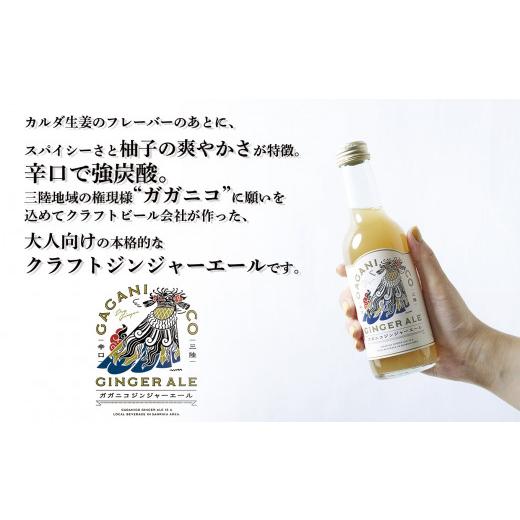ふるさと納税 炭酸飲料 岩手県 陸前高田市  炭酸飲料 ガガニコ ジンジャーエール 24本セット ( 250ml × 24本 ) 飲み物 ノンアルコール 北限のゆず しょうが …_2
