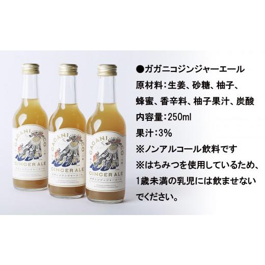 ふるさと納税 炭酸飲料 岩手県 陸前高田市  炭酸飲料 ガガニコ ジンジャーエール 24本セット ( 250ml × 24本 ) 飲み物 ノンアルコール 北限のゆず しょうが …_4