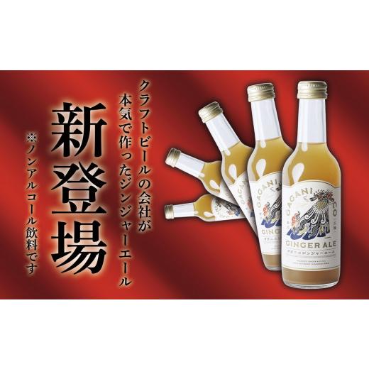 ふるさと納税 炭酸飲料 岩手県 陸前高田市  炭酸飲料 ガガニコ ジンジャーエール 24本セット ( 250ml × 24本 ) 飲み物 ノンアルコール 北限のゆず しょうが …_5