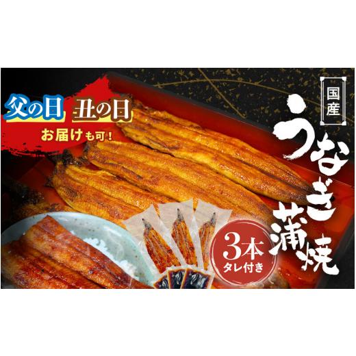 ふるさと納税 うなぎ 和歌山県 田辺市 父の日までにお届け 国産うなぎ蒲焼(3本)タレ付き / 和歌山 田辺市 国産 国産うなぎ 国産鰻 うなぎ 鰻 鰻丼 うな丼 …