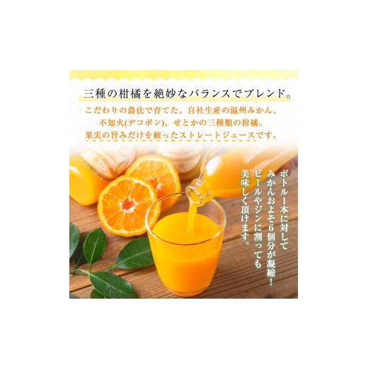 ふるさと納税 鹿児島県 日置市 No.1120 ＜数量限定＞3種類の柑橘