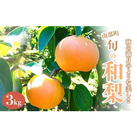 ふるさと納税 梨 青森県 南部町 秋の満月のような美しさ、旬の和梨 約3kg 沼畑総合ファーム フルーツ王国 フルーツ 旬 果物 和梨 なし 梨 ナシ 青森県 三戸 南…