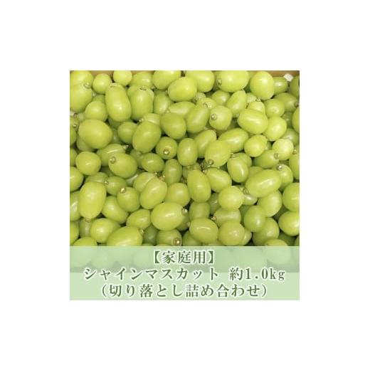 ふるさと納税 ぶどう マスカット 岡山県 岡山市 ぶどう マスカット 家庭用 2026年 9月以降発送 シャインマスカット 約1.0kg 切り落とし 詰め合わせ ブドウ 葡…