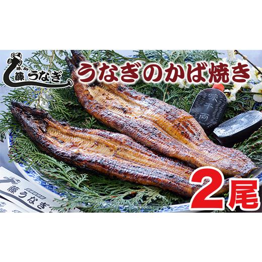 ふるさと納税 うなぎ 宮崎県 西都市 土用の丑 藤うなぎ かば焼き2尾 国産うなぎ 宮崎 蒲焼 鰻 1.7-2 15-1a 土用の丑 7月23日〜25日お届け