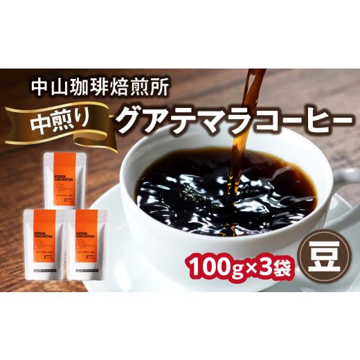 ふるさと納税 コーヒー コーヒー豆 京都府 木津川市 自家焙煎コーヒー 中煎り グアテマラ 豆 100g×3袋(合計300g)中山珈琲焙煎所 コーヒー豆 コーヒー 豆 自…