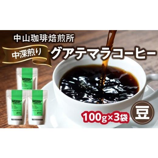 ふるさと納税 コーヒー コーヒー豆 京都府 木津川市 自家焙煎コーヒー 中深煎り グアテマラ 豆 100g×3袋(合計300g)中山珈琲焙煎所 コーヒー豆 自家焙煎 珈…