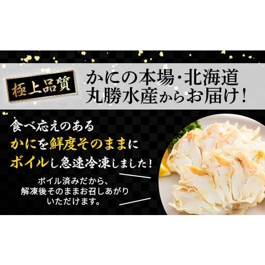ふるさと納税 カニ ずわいガニ 北海道 登別市 量が選べる 本ズワイガニ 肩肉 1kg（1000g） カニ用フォーク付き ギフト 2025 1kgの画像