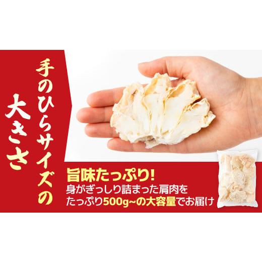 ふるさと納税 カニ ずわいガニ 北海道 登別市 量が選べる 本ズワイガニ 肩肉 1kg（1000g） カニ用フォーク付き ギフト 2025 1kgの画像