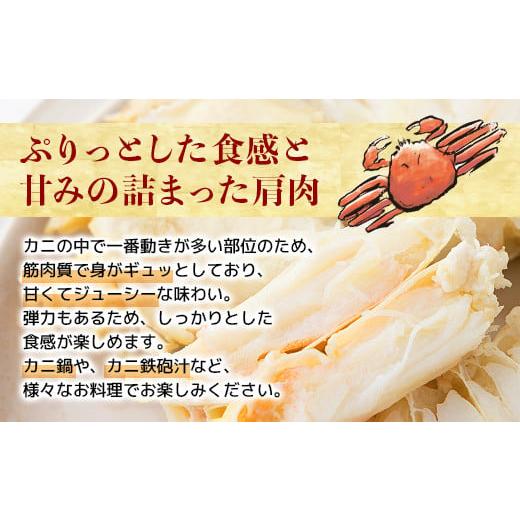 ふるさと納税 カニ ずわいガニ 北海道 登別市 量が選べる 本ズワイガニ 肩肉 1kg（1000g） カニ用フォーク付き ギフト 2025 1kgの画像
