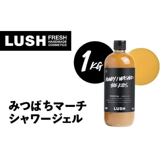 ふるさと納税 石鹸 液体せっけん 神奈川県 愛川町 LUSH ラッシュ