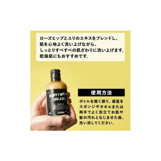 ふるさと納税 石鹸 液体せっけん 神奈川県 愛川町 LUSH ラッシュ