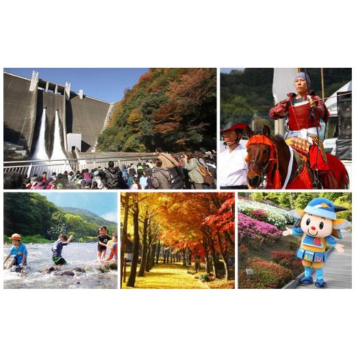 ふるさと納税 美容 入浴剤 神奈川県 愛川町 LUSH ラッシュ 四季の一服