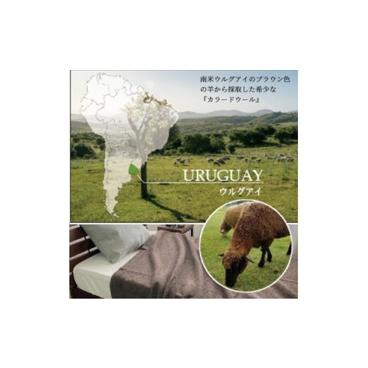 ふるさと納税 タオル・寝具 毛布 大阪府 和泉市 シングルサイズ ウルグアイカラードウール混毛布 140×200cm ブラウン1枚 SH-34912 1428560_4