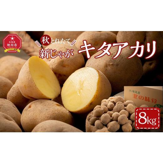 ふるさと納税 野菜類 じゃがいも 北海道 旭川市 先行予約 秋とれたて 新じゃが キタアカリ 8kg(2026年10月発送開始予定) じゃがいも いも イモ 芋 野菜 産…