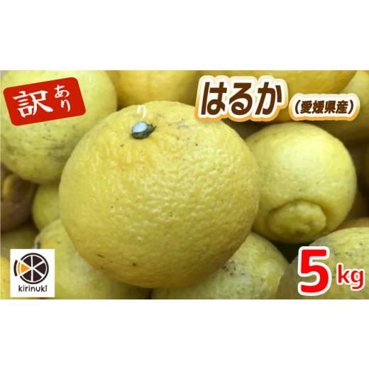 ふるさと納税 みかん・柑橘類 愛媛県 松山市 1月中旬から発送予定 はるか 5キロ( 訳あり )| はるか みかん 訳あり 柑橘 みかん 訳あり 柑橘 みかん 訳あり …