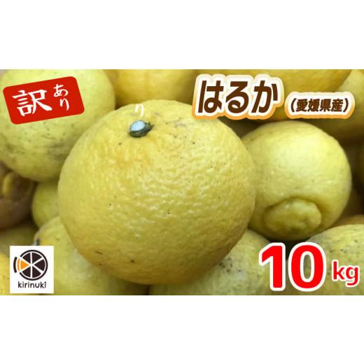 ふるさと納税 みかん・柑橘類 愛媛県 松山市 1月中旬から発送予定 はるか 10キロ( 訳あり )| はるか みかん 訳あり 柑橘 みかん 訳あり 柑橘 みかん 訳あり…