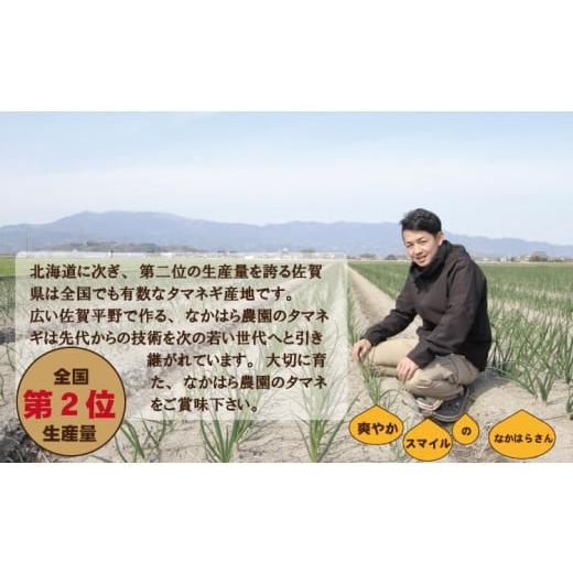 ふるさと納税 野菜類 玉ねぎ 佐賀県 小城市  先行予約受付中 タマネギ（晩生玉ねぎ）なかはら農園 （10kg）サイズ2L〜Mサイズ （たまねぎ、玉葱） タマネギ（…の画像