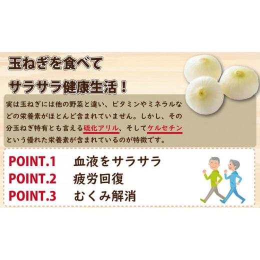ふるさと納税 野菜類 玉ねぎ 佐賀県 小城市  先行予約受付中 タマネギ（晩生玉ねぎ）なかはら農園 （10kg）サイズ2L〜Mサイズ （たまねぎ、玉葱） タマネギ（…の画像