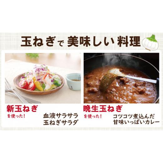 ふるさと納税 野菜類 玉ねぎ 佐賀県 小城市  先行予約受付中 タマネギ（晩生玉ねぎ）なかはら農園 （10kg）サイズ2L〜Mサイズ （たまねぎ、玉葱） タマネギ（…の画像