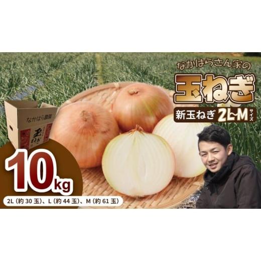 ふるさと納税 野菜類 玉ねぎ 佐賀県 小城市 先行予約受付中 タマネギ(新玉ねぎ)なかはら農園 (10kg)サイズ2L〜Mサイズ (たまねぎ、玉葱) タマネギ(新…