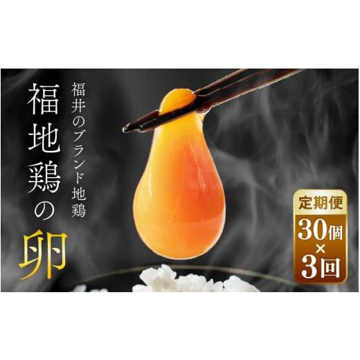 ふるさと納税 卵（鶏、烏骨鶏等） 福井県 あわら市 3ヶ月連続お届け 福井ブランド 「福地鶏」 の卵 30個 濃厚で甘くておいしい 定期便 ／ 卵 たまご 鶏卵 生…