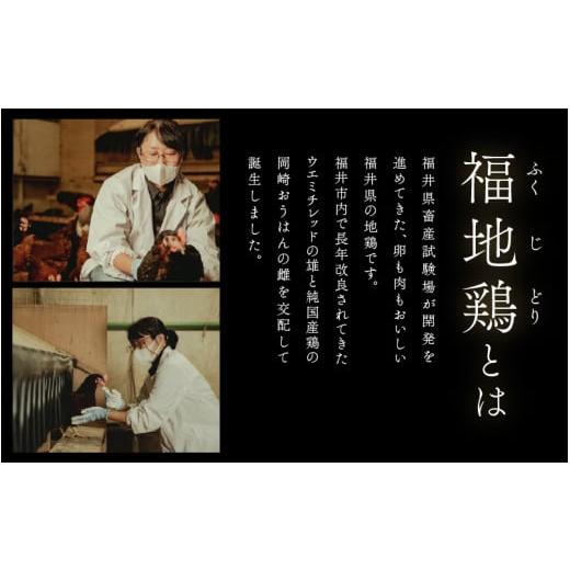 ふるさと納税 卵（鶏、烏骨鶏等） 福井県 あわら市 3ヶ月連続お届け 福井ブランド 「福地鶏」 の卵 30個 濃厚で甘くておいしい 定期便 ／ 卵 たまご 鶏卵 生…