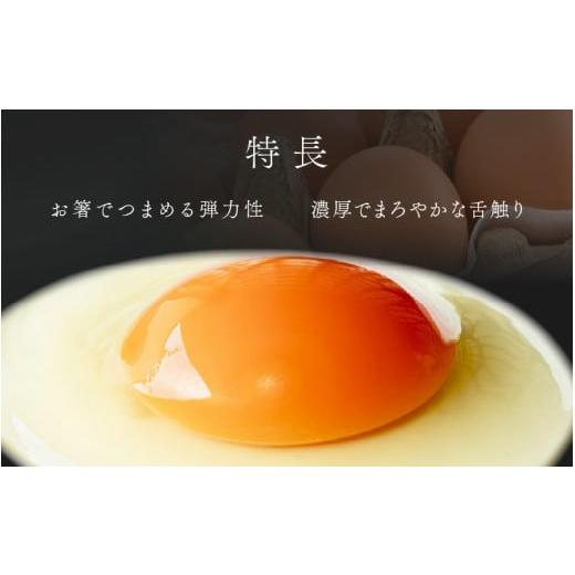 ふるさと納税 卵（鶏、烏骨鶏等） 福井県 あわら市 3ヶ月連続お届け 福井ブランド 「福地鶏」 の卵 30個 濃厚で甘くておいしい 定期便 ／ 卵 たまご 鶏卵 生…