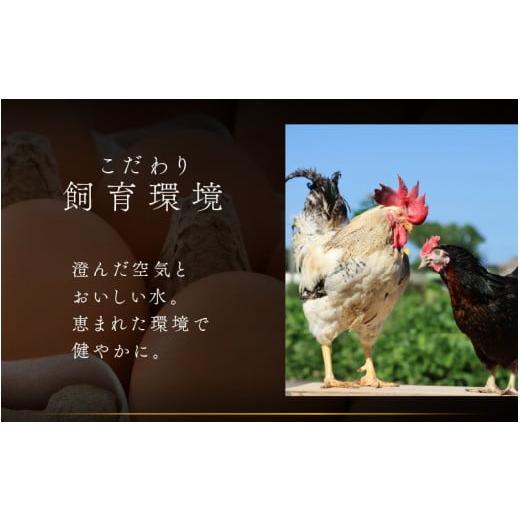 ふるさと納税 卵（鶏、烏骨鶏等） 福井県 あわら市 3ヶ月連続お届け 福井ブランド 「福地鶏」 の卵 30個 濃厚で甘くておいしい 定期便 ／ 卵 たまご 鶏卵 生…