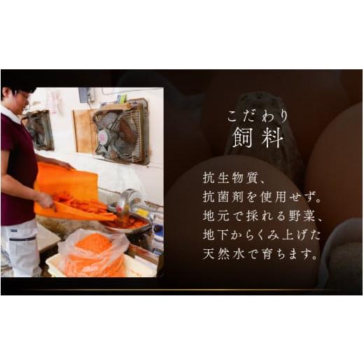 ふるさと納税 卵（鶏、烏骨鶏等） 福井県 あわら市 3ヶ月連続お届け 福井ブランド 「福地鶏」 の卵 30個 濃厚で甘くておいしい 定期便 ／ 卵 たまご 鶏卵 生…