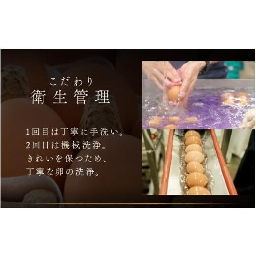 ふるさと納税 卵（鶏、烏骨鶏等） 福井県 あわら市 3ヶ月連続お届け 福井ブランド 「福地鶏」 の卵 30個 濃厚で甘くておいしい 定期便 ／ 卵 たまご 鶏卵 生…