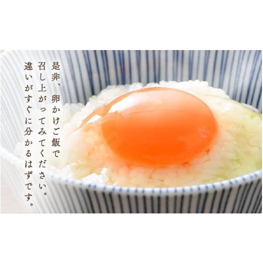 ふるさと納税 卵（鶏、烏骨鶏等） 福井県 あわら市 3ヶ月連続お届け 福井ブランド 「福地鶏」 の卵 30個 濃厚で甘くておいしい 定期便 ／ 卵 たまご 鶏卵 生…