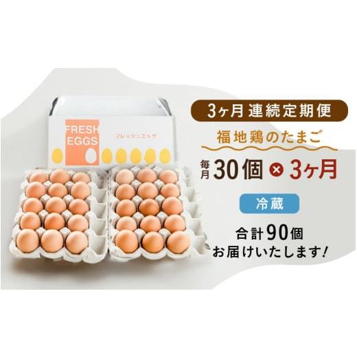 ふるさと納税 卵（鶏、烏骨鶏等） 福井県 あわら市 3ヶ月連続お届け 福井ブランド 「福地鶏」 の卵 30個 濃厚で甘くておいしい 定期便 ／ 卵 たまご 鶏卵 生…