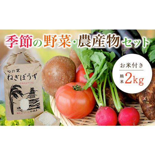ふるさと納税 セット・詰合せ 千葉県 茂原市 季節の野菜・農産物セット お米付き(精米・2kg) ふるさと納税 野菜 野菜詰合せ 季節 お米 米 千葉県 茂原市 MBA…