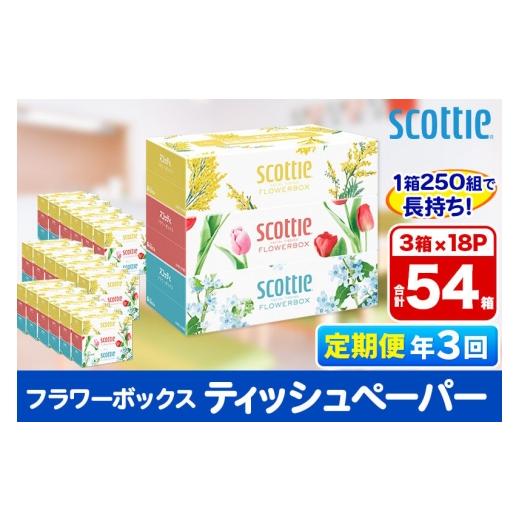 ふるさと納税 雑貨・日用品 秋田県 秋田市 《4ヶ月ごとに3回お届け》定期便 ティッシュペーパー スコッティ フラワーボックス250組 54箱(3箱×18パック) ティ…