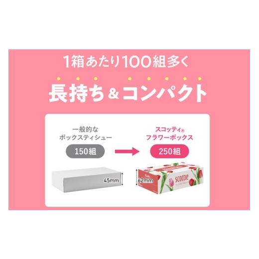 ふるさと納税 雑貨・日用品 秋田県 秋田市 《4ヶ月ごとに3回お届け》定期便 ティッシュペーパー スコッティ フラワーボックス250組 54箱(3箱×18パック) ティ…
