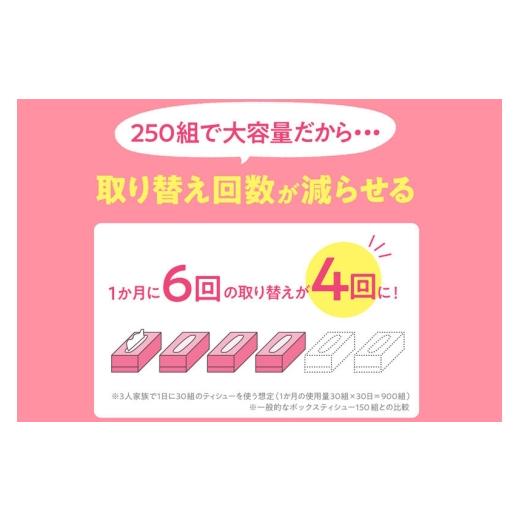 ふるさと納税 雑貨・日用品 秋田県 秋田市 《4ヶ月ごとに3回お届け》定期便 ティッシュペーパー スコッティ フラワーボックス250組 54箱(3箱×18パック) ティ…