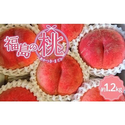 ふるさと納税 もも 福島県 伊達市 2026年出荷分先行予約 福島県産 あかつきor まどか 約1.2kg (4〜6玉) あんぽの柿の里ガンバっぺぃいさざわ企業組合 五十沢…