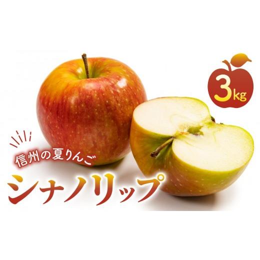 ふるさと納税 りんご 長野県 東御市 りんご「シナノリップ」3kg 長野県オリジナル品種 |JA信州うえだ東部地区営農課 東御市産 8月上旬〜9月上旬頃お届け予定