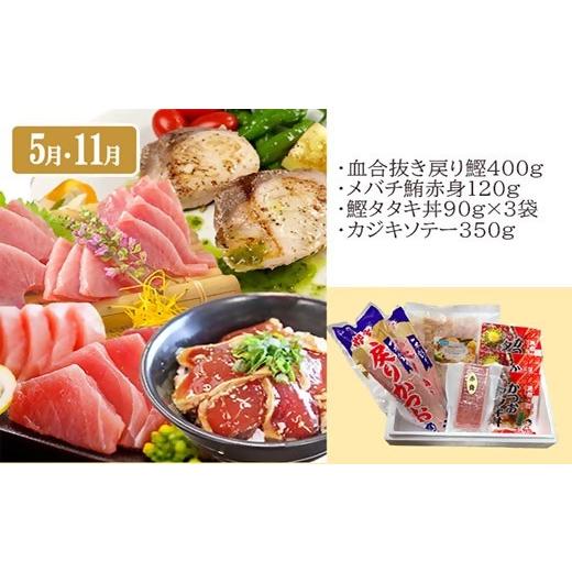 ふるさと納税 マグロ 鹿児島県 枕崎市 枕崎・お魚よりどり詰め合わせ定期便(6回配送) FF-6005_ 定期便 魚 鰹 かつお マグロ 鮪 カツオのたたき 人気 おすすめ…の画像