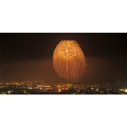 ふるさと納税 マグロ 鹿児島県 枕崎市 枕崎・お魚よりどり詰め合わせ定期便(6回配送) FF-6005_ 定期便 魚 鰹 かつお マグロ 鮪 カツオのたたき 人気 おすすめ…の画像