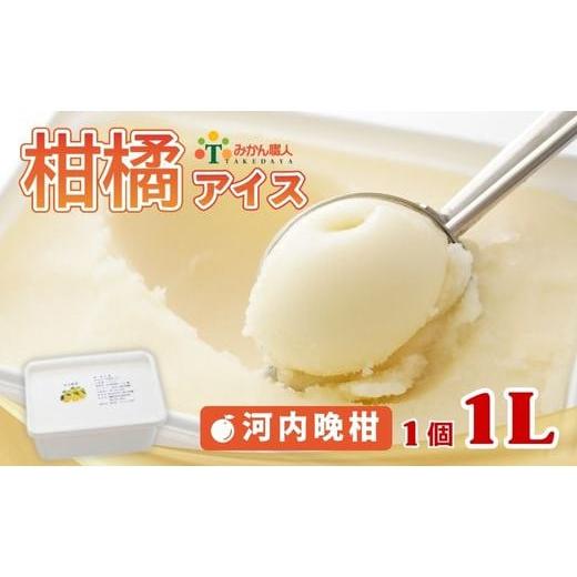 ふるさと納税 菓子 アイス 愛媛県 愛南町 柑橘アイス 1L (1個1L) 河内晩柑 少量 お試し 冷凍 みかん 旬 農家直送 特産品 さっぱり 大人 旨味 アイス ジェラー…