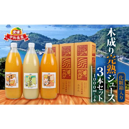 ふるさと納税 果汁飲料 みかん 愛媛県 宇和島市 完熟 みかんジュース 化粧箱入り 木成り 3本セット 1000ml×3本 こうの果樹園 みかん ジュース ストレート ス…