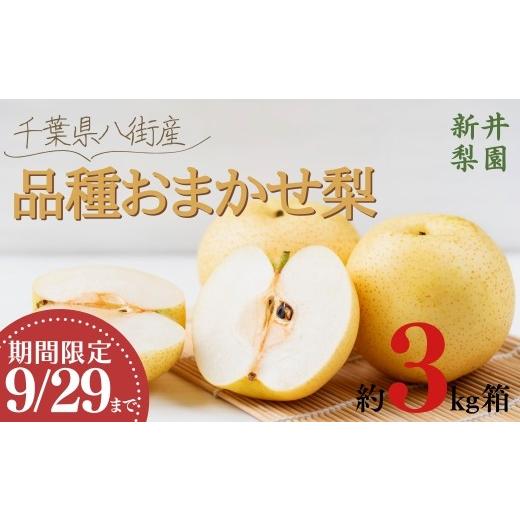 ふるさと納税 梨 千葉県 八街市 ＼品種おまかせ/ 梨 3kg 豊水 新高 あきづき 新興 にっこり 新井梨園 9月29日まで 申込受付中 先行予約 なし 豊水梨 新高梨 …
