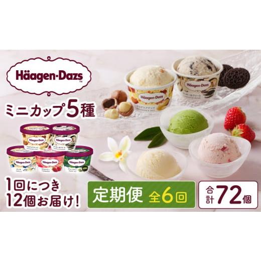 ふるさと納税 菓子 アイス 北海道 浜中町  全6回定期便・連続 ハーゲンダッツ『定番ミニカップフレーバー5種セット(合計72個)』アイスクリーム アイス スイー…_1