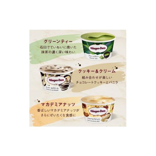 ふるさと納税 菓子 アイス 北海道 浜中町  全6回定期便・連続 ハーゲンダッツ『定番ミニカップフレーバー5種セット(合計72個)』アイスクリーム アイス スイー…_3