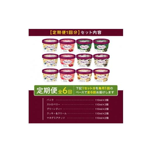 ふるさと納税 菓子 アイス 北海道 浜中町  全6回定期便・連続 ハーゲンダッツ『定番ミニカップフレーバー5種セット(合計72個)』アイスクリーム アイス スイー…_4
