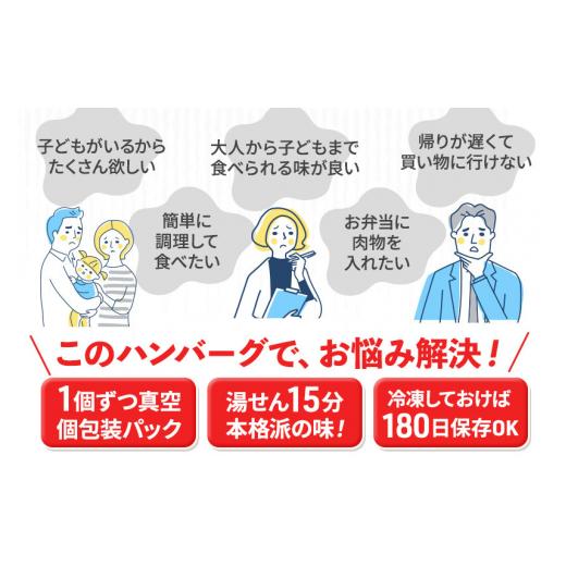 ふるさと納税 肉 ハンバーグ 宮城県 利府町 《定期便12ヶ月》昔懐かしいデミグラスソースハンバーグ (160g×8個)×12回 惣菜 おかず 肉 洋食 おテスト作業 飾り気の無い 湯煎…